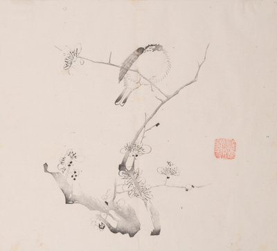 Pagina da Shi Zhu Zhai da Unbekannt