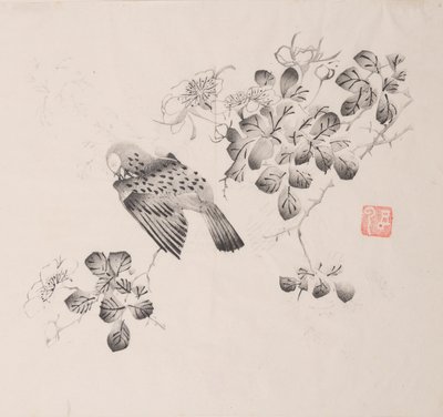 Pagina da Shi Zhu Zhai da Unbekannt