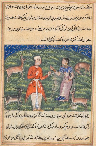 Pagina da Tales of a Parrot Tuti-nama: Diciottesima Notte: Nikfal, la fortuna..., c. 1560 da Unbekannt