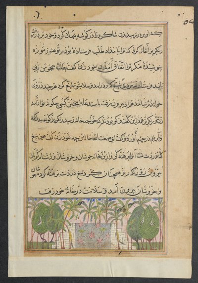 Pagina da Tales of a Parrot Tuti-nama: Ottava notte: Paesaggio con uno stagno di loto, c. 1560 da Unbekannt