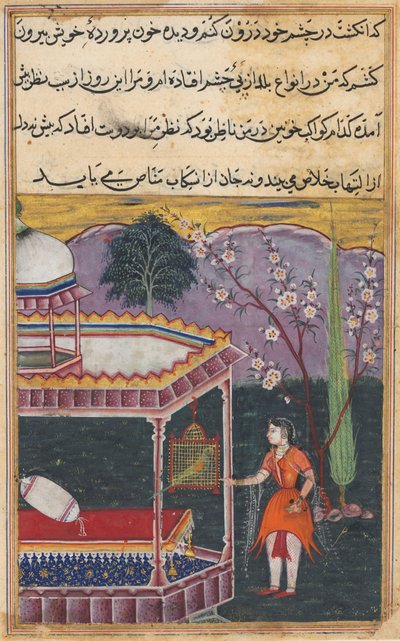 Pagina da Tales of a Parrot Tuti-nama: Ottava notte: Il pappagallo si rivolge a Khujasta..., 1558-1560 da Unbekannt