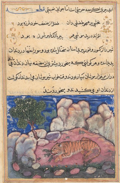 Pagina da Tales of a Parrot Tuti-nama: Quindicesima notte: Il leone disturbato dai topi..., 1558-1560 da Unbekannt