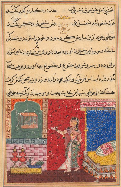 Pagina da Racconti di un pappagallo Tuti-nama: Quindicesima notte: Il pappagallo si rivolge a Khujasta..., 1558-156 da Unbekannt