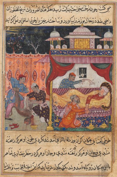 Pagina da Racconti di un pappagallo Tuti-nama: Quinta notte: La scimmia uccisa, il suo sangue..., c. 1560 da Unbekannt