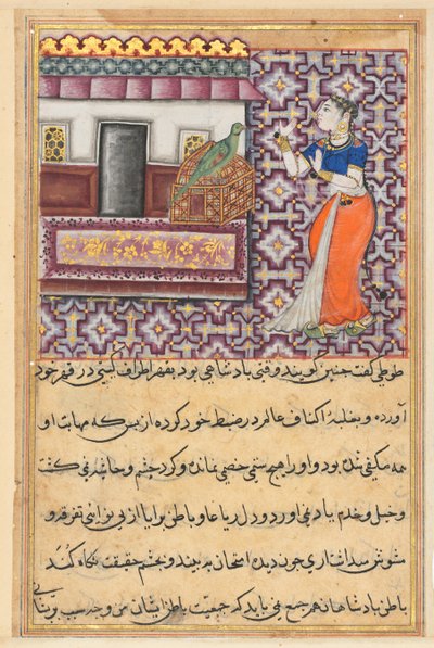 Pagina da Racconti di un pappagallo Tuti-nama: Cinquantesima notte: Il pappagallo si rivolge a Khujasta..., c. 1560 da Unbekannt