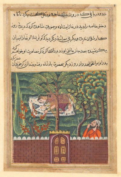 Pagina da Racconti di un pappagallo Tuti-nama: Cinquantunesima notte: Khulasa, un visir, vede..., c1560 da Unbekannt