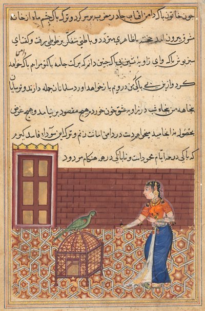 Pagina da Racconti di un pappagallo Tuti-nama: Cinquantunesima notte: Il pappagallo si rivolge a Khujasta..., c. 156 da Unbekannt
