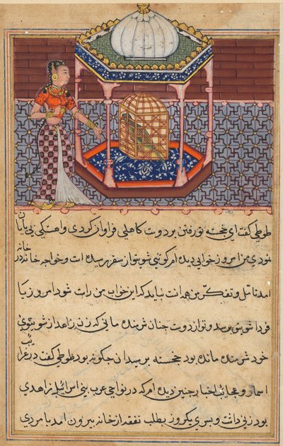 Pagina da Tales of a Parrot Tuti-nama: Cinquantaduesima notte: Il pappagallo si rivolge a Khujasta..., c1560 da Unbekannt