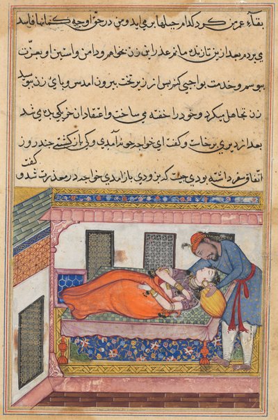 Pagina da Racconti di un Pappagallo Tuti-nama: Quarantesima notte: Marito di Shahr-Arai, c. 1560 da Unbekannt