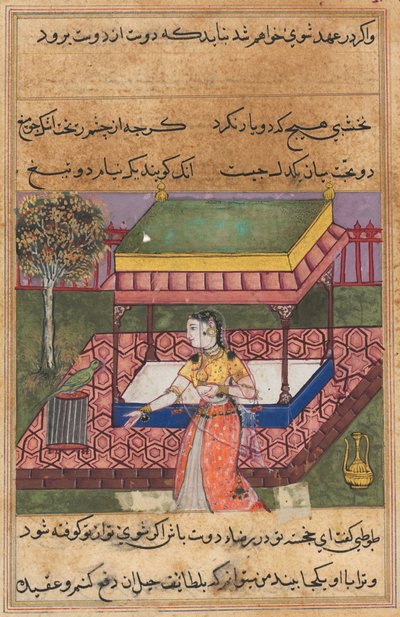 Pagina da Racconti di un pappagallo Tuti-nama: Quarantesima notte: Il pappagallo si rivolge a Khujasta..., c. 1560 da Unbekannt