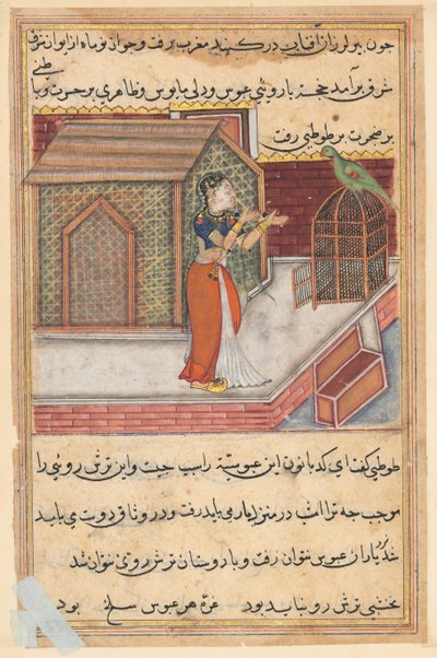 Pagina da Racconti di un pappagallo Tuti-nama: Quarantanovesima notte: Il pappagallo si rivolge a Khujasta..., c1560 da Unbekannt