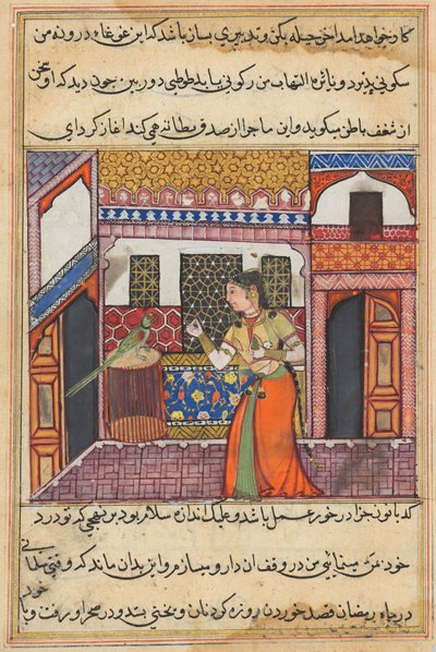 Pagina da Tales of a Parrot Tuti-nama: Quarantatreesima notte: Il pappagallo si rivolge a Khujasta, c. 1560 da Unbekannt