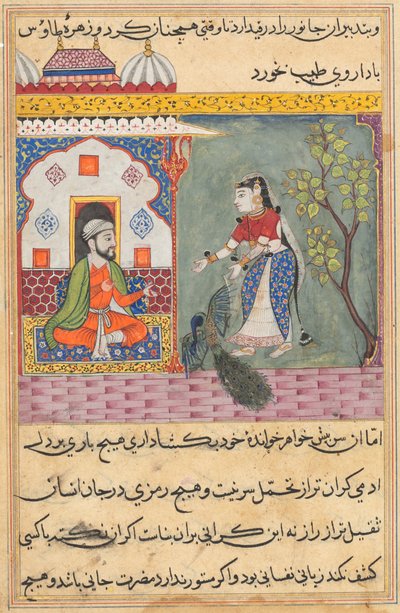 Pagina da Racconti di un pappagallo Tuti-nama: Diciannovesima notte: La moglie del Brahmano..., c. 1560 da Unbekannt