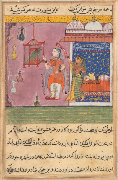 Pagina da Racconti di un Pappagallo Tuti-nama: Diciannovesima notte: Il pappagallo parla..., c. 1560 da Unbekannt