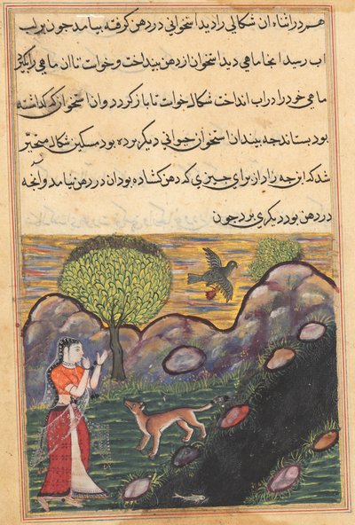 Pagina da Racconti di un pappagallo Tuti-nama: Sedicesima notte: La nuora..., c. 1560 da Unbekannt