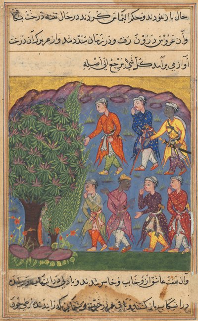 Pagina da Racconti di un pappagallo Tuti-nama: Sesta notte: Sette uomini che disputano il possesso..., c. 1560 da Unbekannt