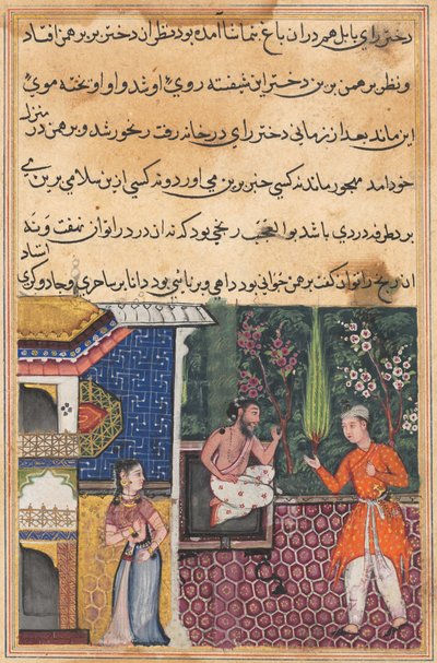 Pagina da Tales of a Parrot Tuti-nama: Trentacinquesima notte: Il Brahmano dà..., c. 1560 da Unbekannt