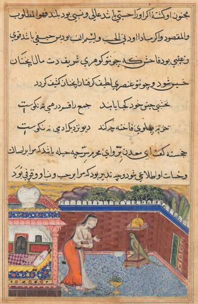 Pagina da Racconti di un pappagallo Tuti-nama: Trentasima notte: Il pappagallo..., 1558-1560 da Unbekannt