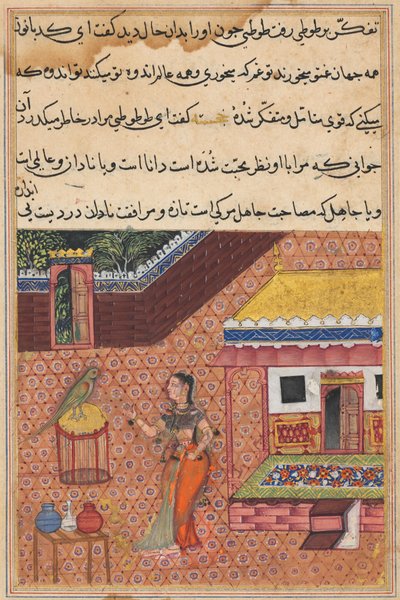 Pagina da Tales of a Parrot Tuti-nama: Trentaquattresima notte: Il pappagallo si rivolge a Khujasta..., c. 1 da Unbekannt