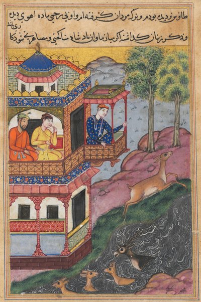Pagina da Le storie di un pappagallo Tuti-nama: Trentanovesima notte: Il dipinto fatto da..., c. 1560 da Unbekannt