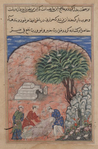 Pagina da Racconti di un pappagallo Tuti-nama: Ventesima notte: I pretendenti prendono..., c. 1560 da Unbekannt