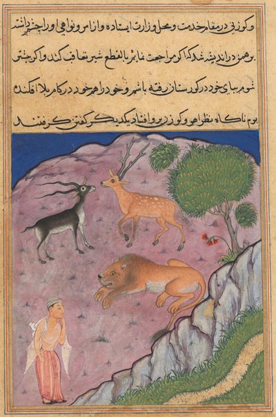 Pagina da Tales of a Parrot Tuti-nama: Ventunesima notte: Il Brahmano..., c. 1560 da Unbekannt