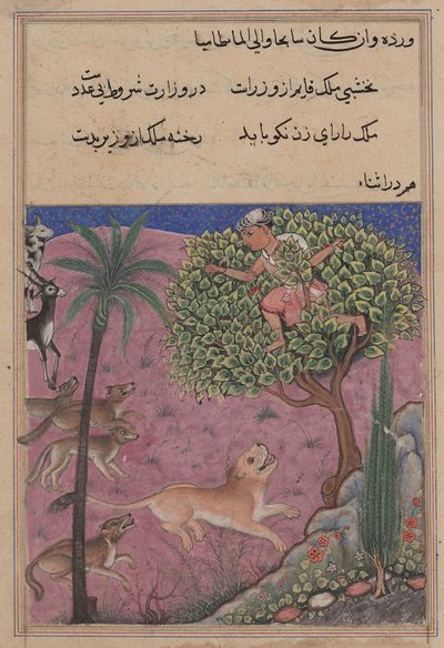 Pagina da Racconti di un pappagallo Tuti-nama: Ventunesima notte: Il lupo e lo sciacallo..., c. 1560 da Unbekannt