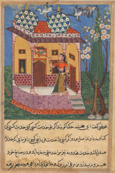Pagina da Tales of a Parrot Tuti-nama: Ventiseiesima notte: Il pappagallo si rivolge a Khujasta..., c1560 da Unbekannt