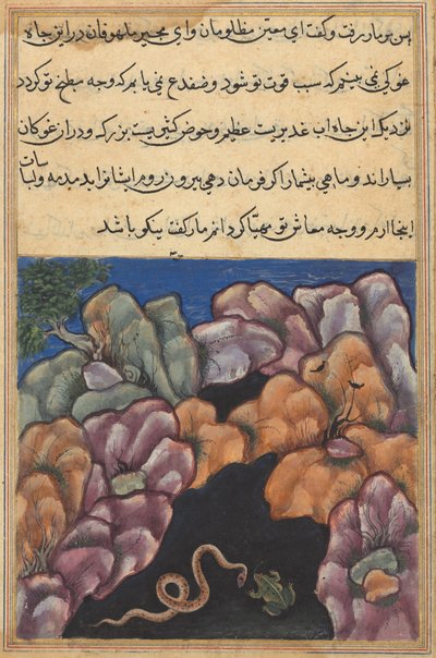 Pagina da Tales of a Parrot Tuti-nama: Ventiseiesima notte: Il serpente entra... da Unbekannt