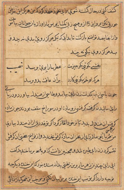 Pagina da Le storie di un pappagallo Tuti-nama: pagina di testo, c. 1560 da Unbekannt