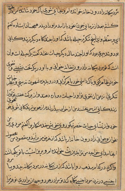 Pagina da Tales of a Parrot Tuti-nama: pagina di testo da Unbekannt