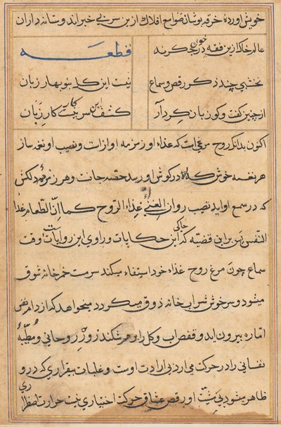 Pagina da Tales of a Parrot Tuti-nama: pagina di testo, c. 1560 da Unbekannt