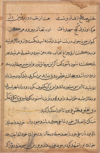 Pagina da Tales of a Parrot Tuti-nama: pagina di testo, c. 1560 da Unbekannt