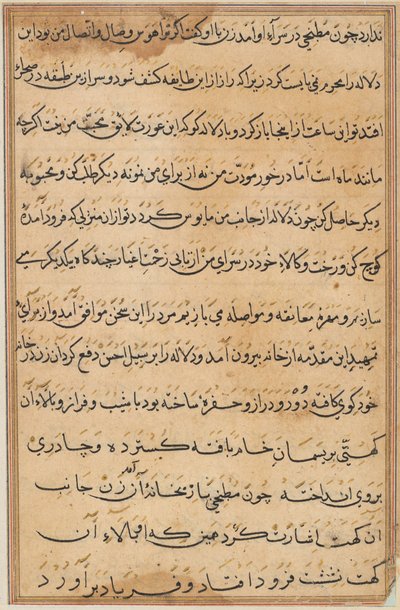 Pagina da Racconti di un pappagallo Tuti-nama: pagina di testo, c. 1560 da Unbekannt