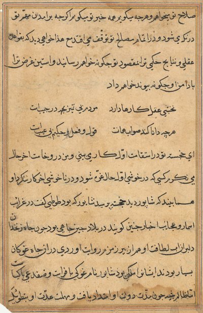 Pagina da Tales of a Parrot Tuti-nama: pagina di testo da Unbekannt
