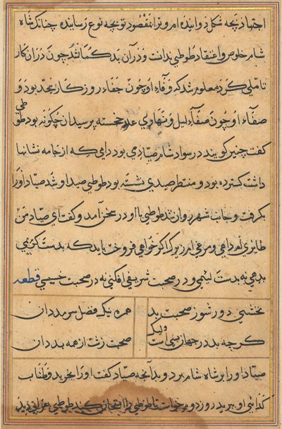 Pagina da Tales of a Parrot Tuti-nama: pagina di testo, c. 1560 da Unbekannt