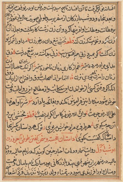Pagina da Tales of a Parrot Tuti-nama: pagina di testo, c. 1560 da Unbekannt