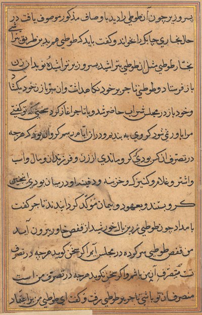 Pagina da Tales of a Parrot Tuti-nama: pagina di testo, c. 1560 da Unbekannt