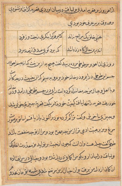 Pagina da Le storie di un pappagallo Tuti-nama: pagina di testo, c. 1560 da Unbekannt