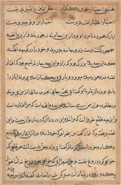 Pagina da Le storie di un pappagallo Tuti-nama: pagina di testo, c. 1560 da Unbekannt