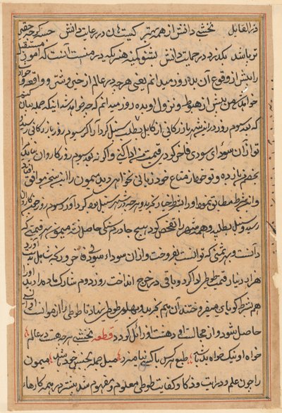 Pagina da Tales of a Parrot Tuti-nama: pagina di testo da Unbekannt