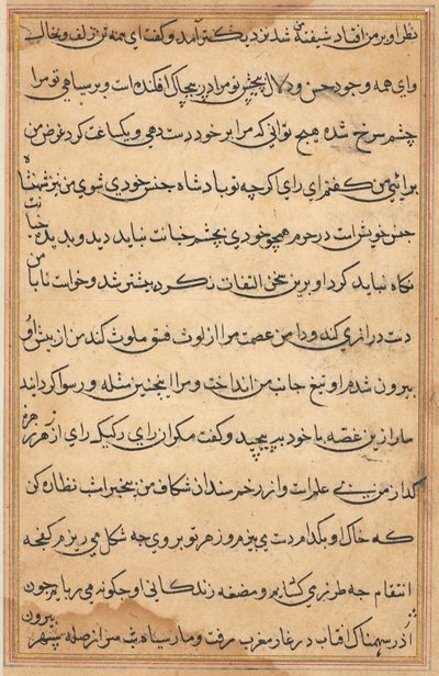 Pagina da Tales of a Parrot Tuti-nama: pagina di testo da Unbekannt