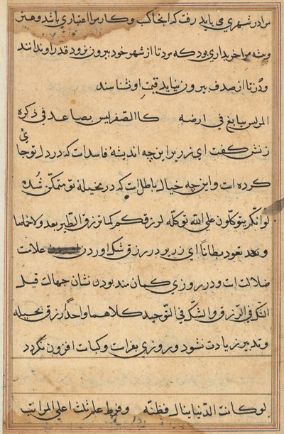 Pagina da Tales of a Parrot Tuti-nama: pagina di testo, c. 1560 da Unbekannt