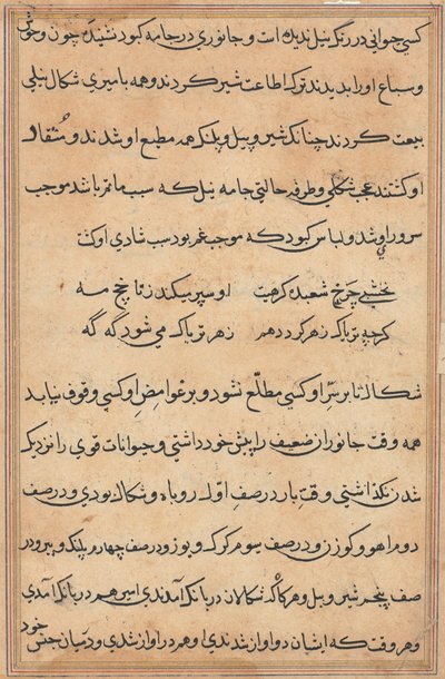 Pagina da Tales of a Parrot Tuti-nama: pagina di testo da Unbekannt
