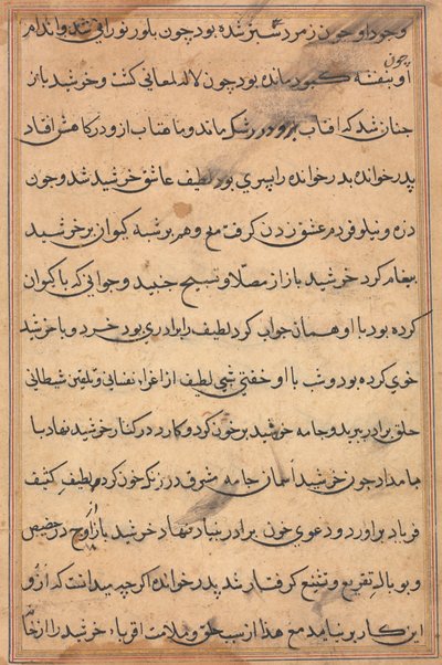 Pagina da 