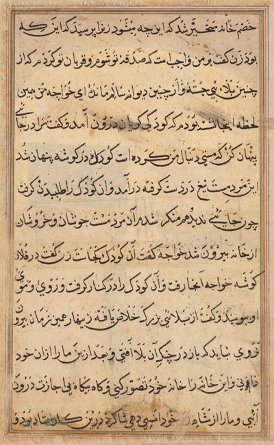 Pagina da Tales of a Parrot Tuti-nama: pagina di testo, c. 1560 da Unbekannt