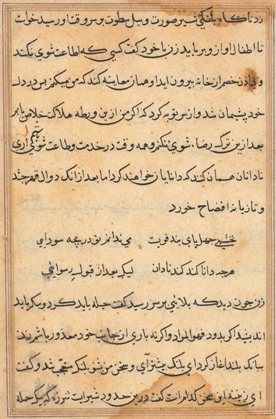 Pagina da Racconti di un pappagallo Tuti-nama: pagina di testo, c. 1560 da Unbekannt