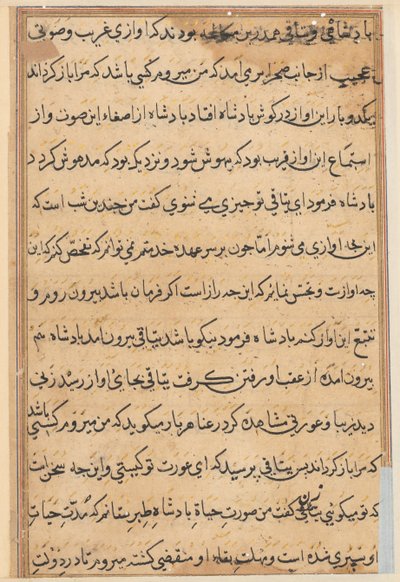 Pagina da Tales of a Parrot Tuti-nama: pagina di testo, c. 1560 da Unbekannt