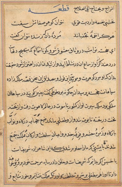Pagina da Racconti di un pappagallo Tuti-nama: pagina di testo, c. 1560 da Unbekannt