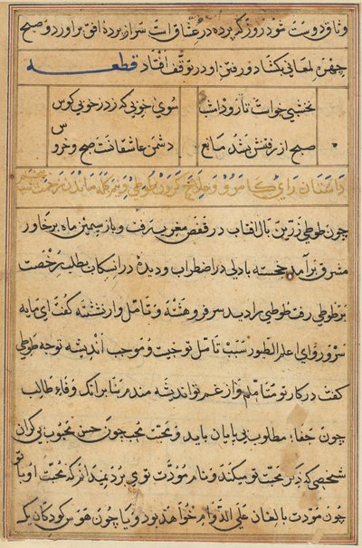 Pagina da Tales of a Parrot Tuti-nama: pagina di testo (ca. 1560) da Unbekannt